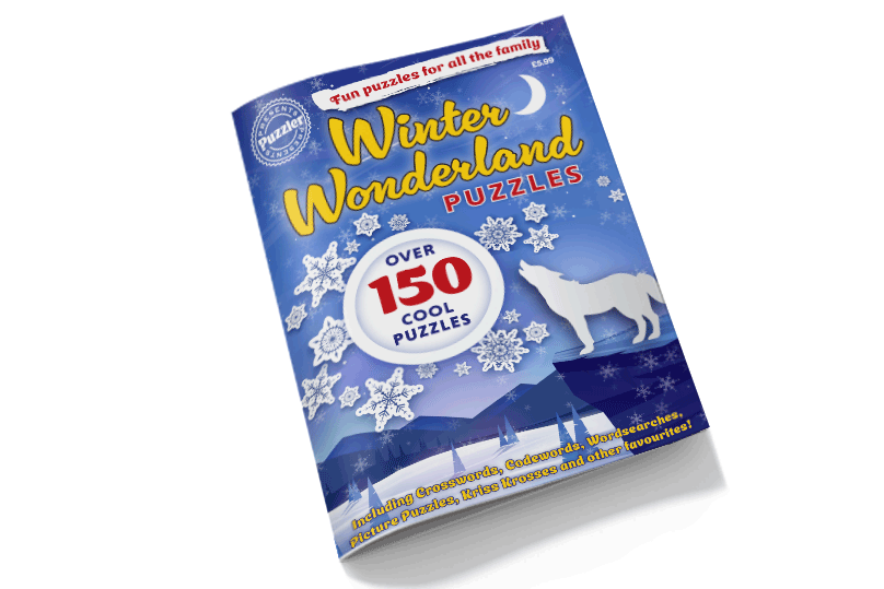 Winter Wonderland Puzzles